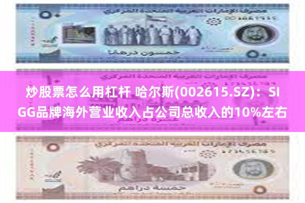 炒股票怎么用杠杆 哈尔斯(002615.SZ)：SIGG品牌海外营业收入占公司总收入的10%左右