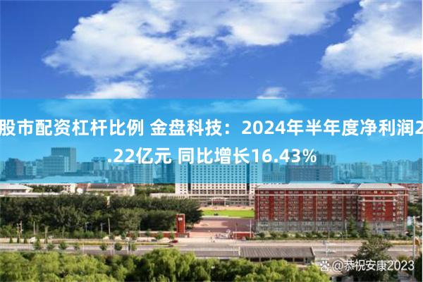 股市配资杠杆比例 金盘科技：2024年半年度净利润2.22亿元 同比增长16.43%