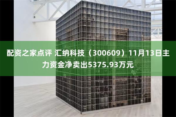 配资之家点评 汇纳科技（300609）11月13日主力资金净卖出5375.93万元