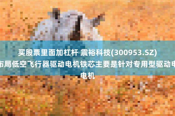 买股票里面加杠杆 震裕科技(300953.SZ)：布局低空飞行器驱动电机铁芯主要是针对专用型驱动电机