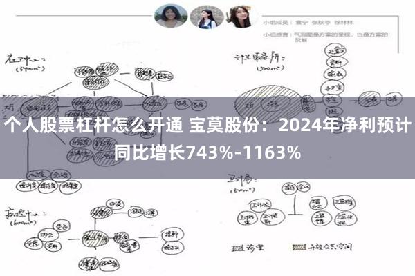 个人股票杠杆怎么开通 宝莫股份：2024年净利预计同比增长743%-1163%