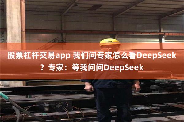股票杠杆交易app 我们问专家怎么看DeepSeek？专家：等我问问DeepSeek