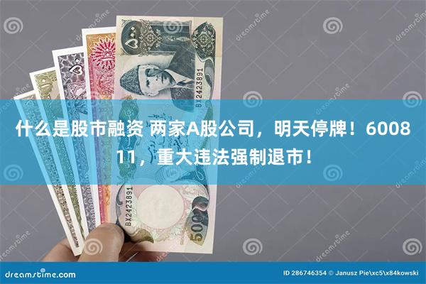 什么是股市融资 两家A股公司，明天停牌！600811，重大违法强制退市！