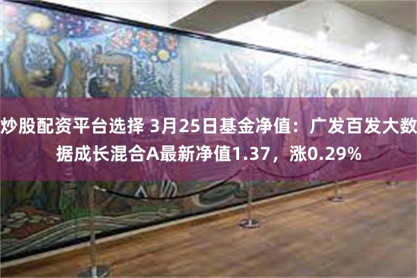 炒股配资平台选择 3月25日基金净值：广发百发大数据成长混合A最新净值1.37，涨0.29%