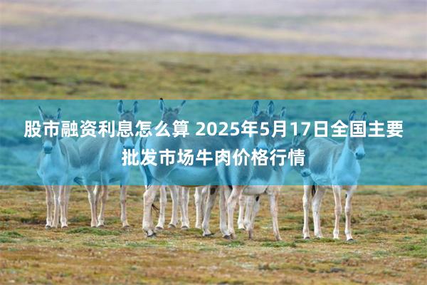 股市融资利息怎么算 2025年5月17日全国主要批发市场牛肉价格行情