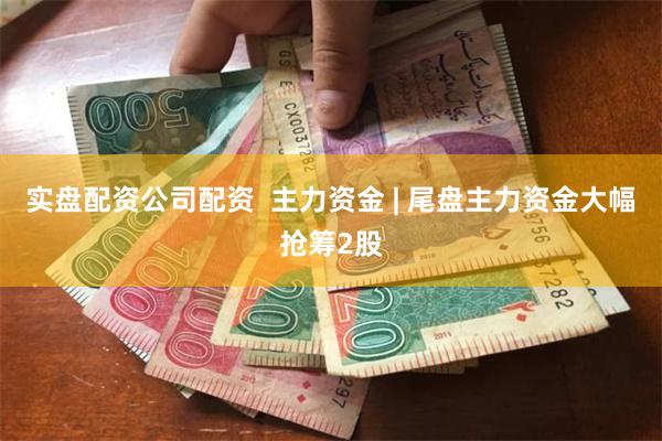 实盘配资公司配资  主力资金 | 尾盘主力资金大幅抢筹2股