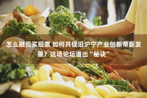 怎么融资买股票 如何共促沿沪宁产业创新带新发展？这场论坛道出“秘诀”