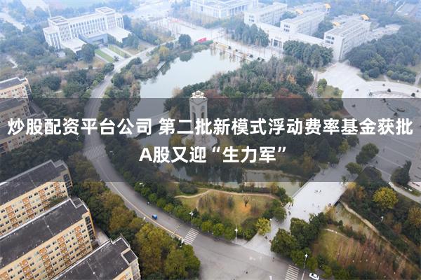 炒股配资平台公司 第二批新模式浮动费率基金获批 A股又迎“生力军”