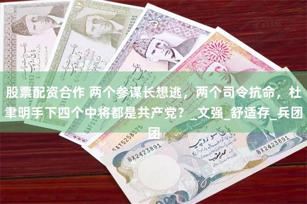 股票配资合作 两个参谋长想逃，两个司令抗命，杜聿明手下四个中将都是共产党？_文强_舒适存_兵团