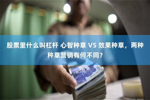股票里什么叫杠杆 心智种草 VS 效果种草，两种种草营销有何不同？