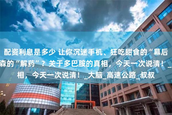 配资利息是多少 让你沉迷手机、狂吃甜食的“幕后推手”，竟也是帕金森的“解药”？关于多巴胺的真相，今天一次说清！_大脑_高速公路_叔叔