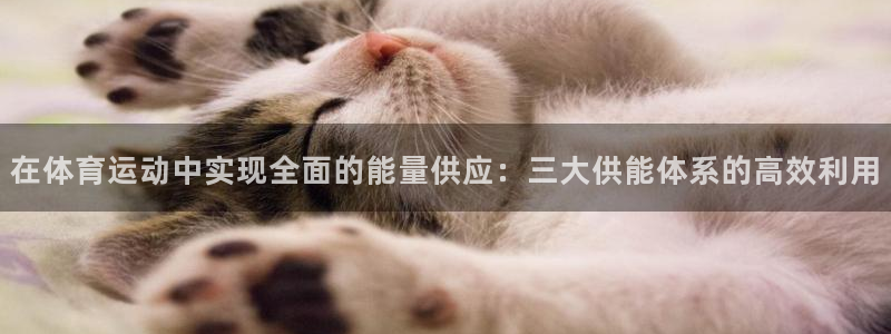 在体育运动中实现全面的能量供应：三大供能体系的高效利用