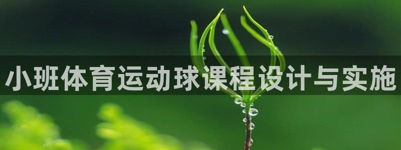 小班体育运动球课程设计与实施