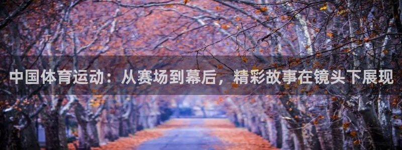 中国体育运动：从赛场到幕后，精彩故事在镜头下展现