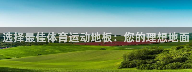 选择最佳体育运动地板：您的理想地面