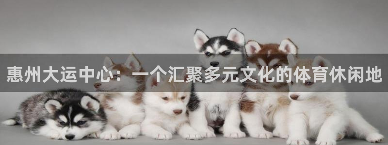 惠州大运中心：一个汇聚多元文化的体育休闲地