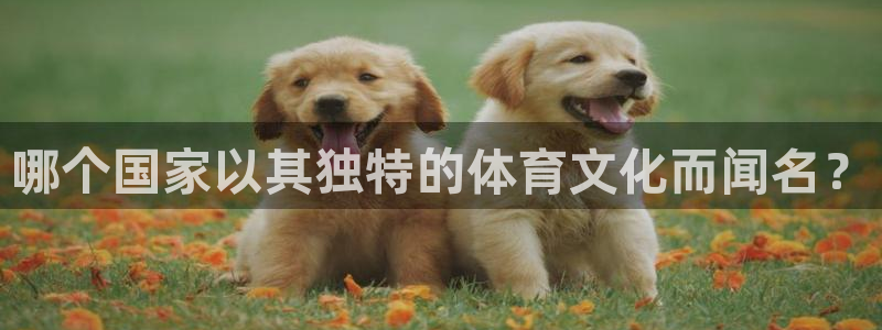 哪个国家以其独特的体育文化而闻名？